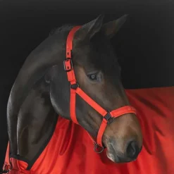 Licol Sparkle double pin Dynamic Eskadron