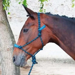 Licol éthologique confort T de T