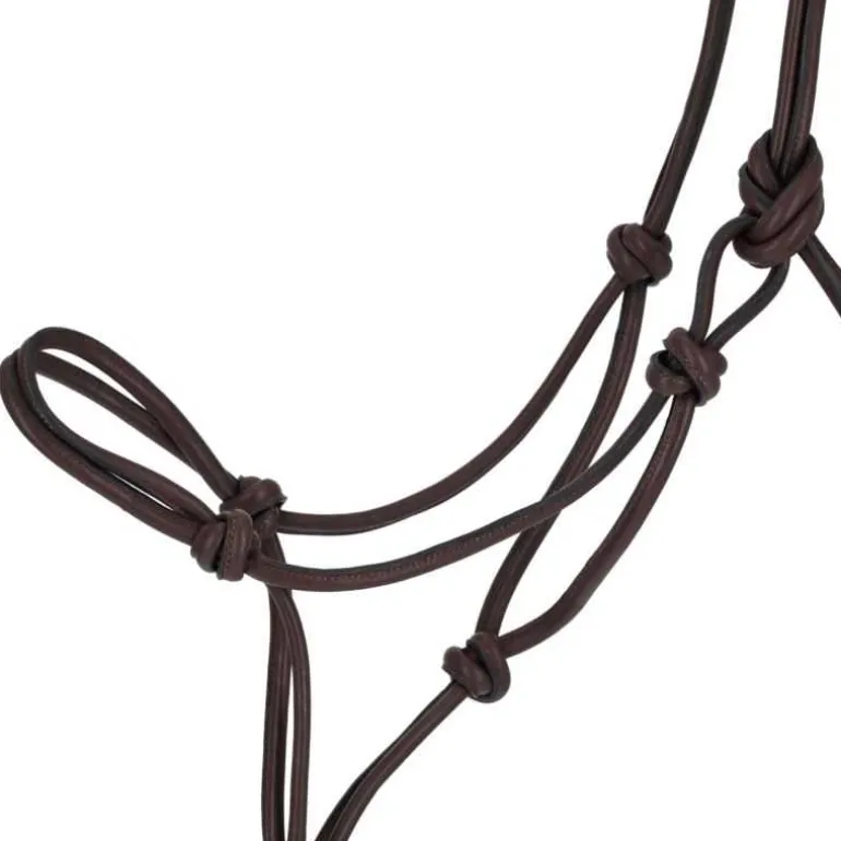 Licol éthologique cuir Liberta QHP