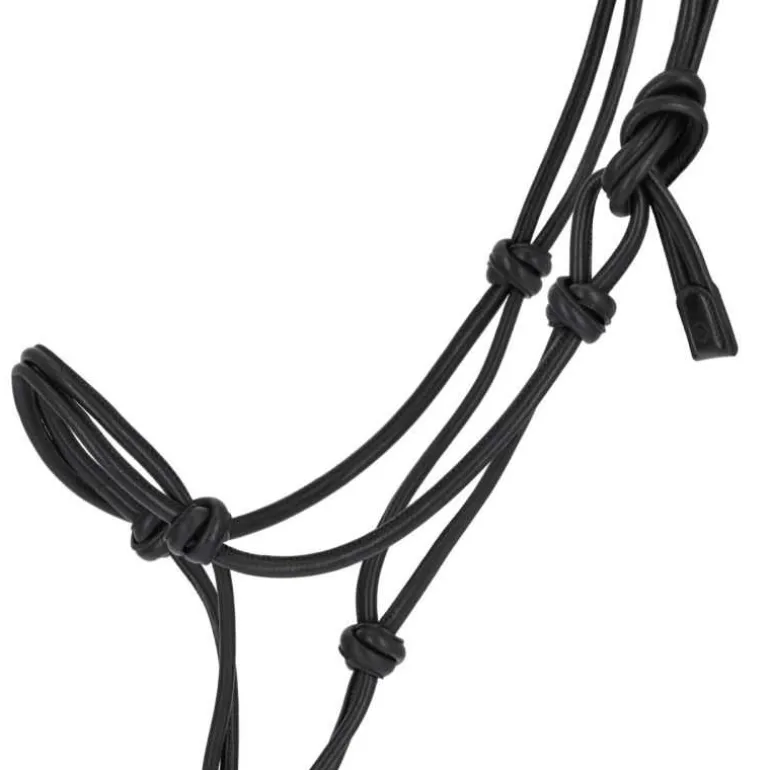 Licol éthologique cuir Liberta QHP