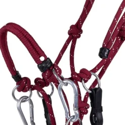 Licol éthologique polyvalent QHP