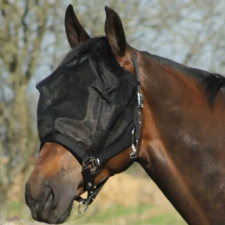 Licol-masque anti-mouches Combiné QHP