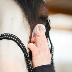 Lingettes Easy Shine Ravene