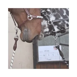 Longe corde et cuir Stationata