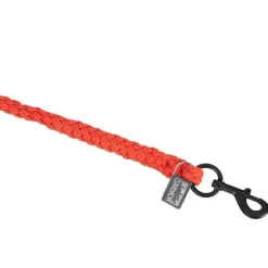 Longe Dynamic Eskadron