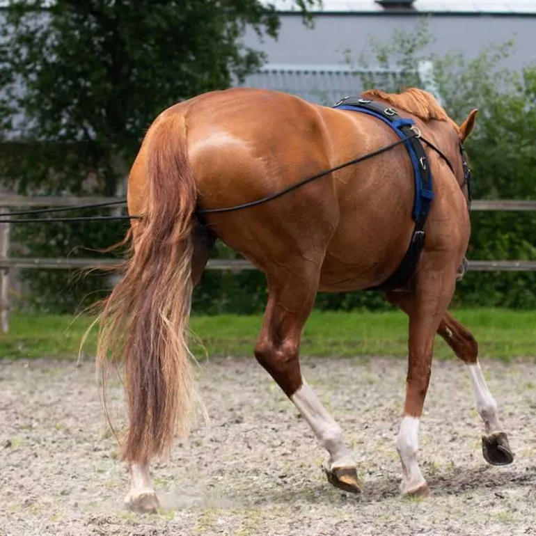 Longues rênes QHP - 16m