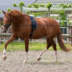 Longues rênes QHP - 16m