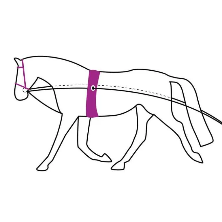 Longues rênes QHP - 16m