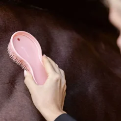 Lot de 2 brosses Magiques All in One Waldhausen