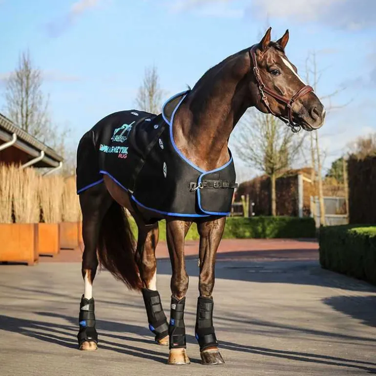 Magnetik Rug Veredus - Couverture de magnéto-thérapie pour chevaux