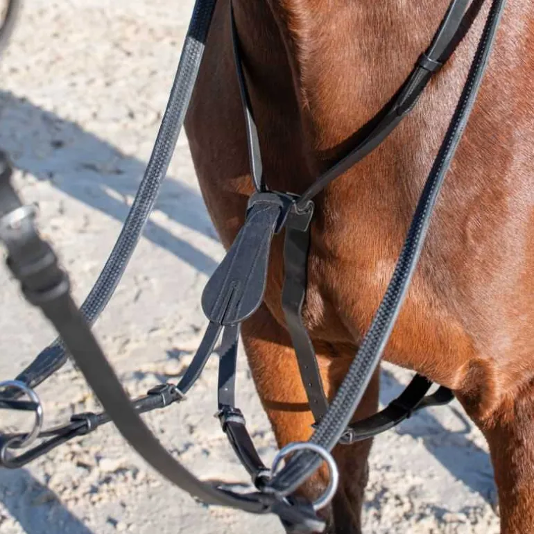 Martingale à anneaux Horse & Go