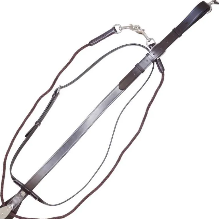 Martingale Howlett avec poulie Canter