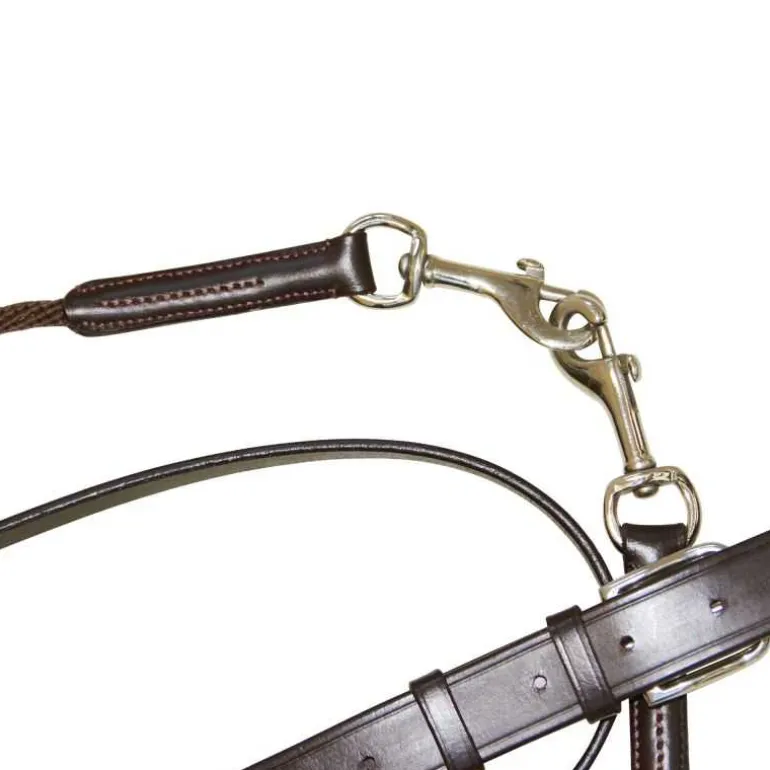 Martingale Howlett avec poulie Canter