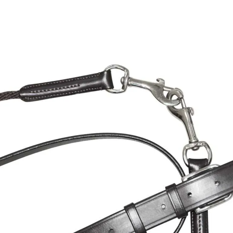 Martingale Howlett avec poulie Canter