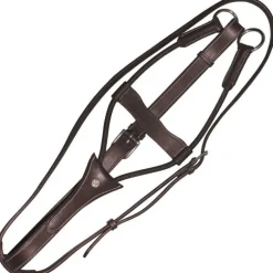 Martingale élastique Canter