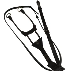 Martingale élastique cuir anglais Stationata