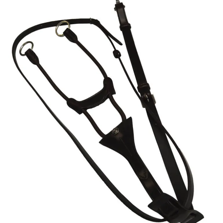 Martingale élastique cuir anglais Stationata