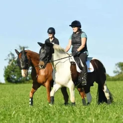 Masque anti-mouches de travail Equilibrium