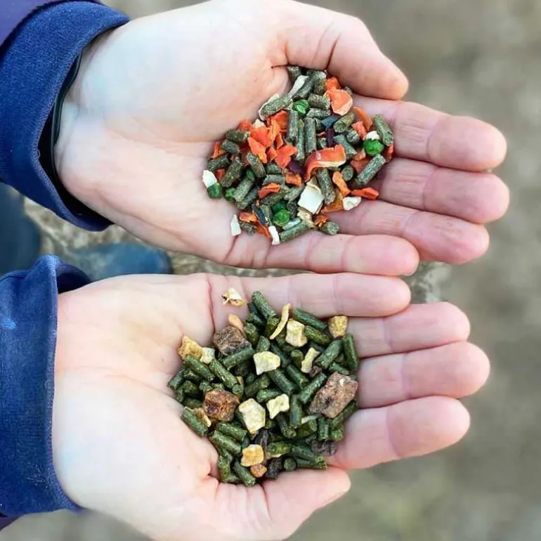 Mélange Simply Irresistible Equilibrium