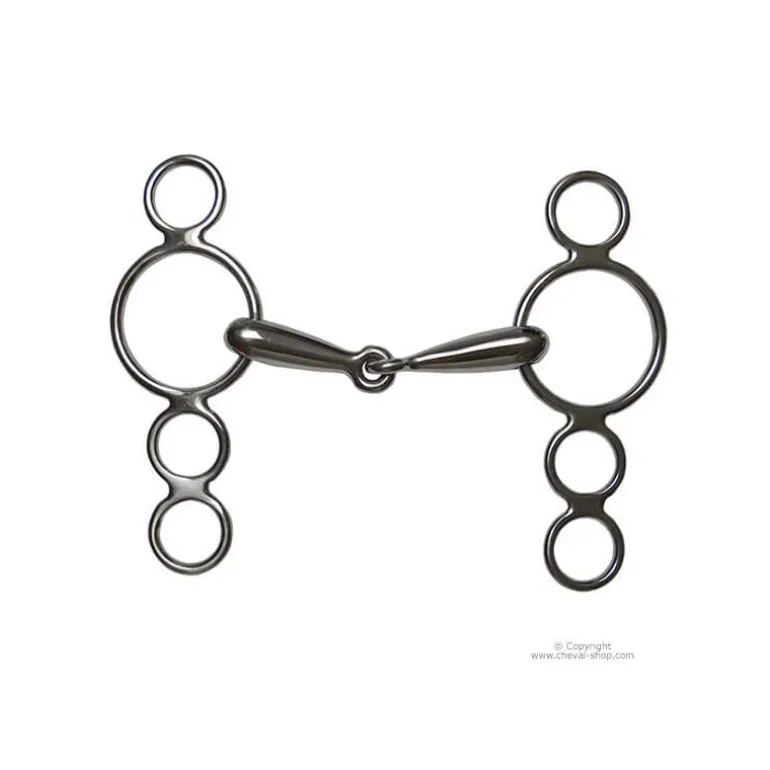 Mors Pessoa 4 anneaux Stationata