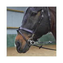 Mors Universel John Whitaker Metalab