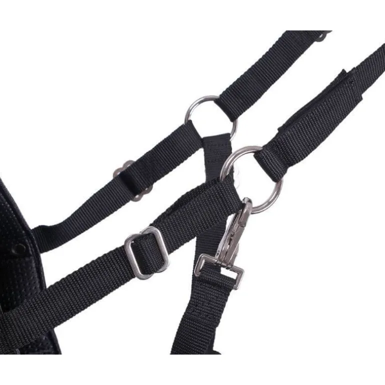 Muselière avec narines QHP