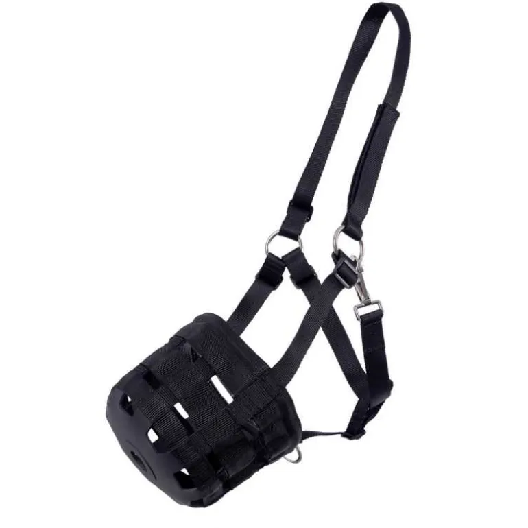 Muselière Q-essentials