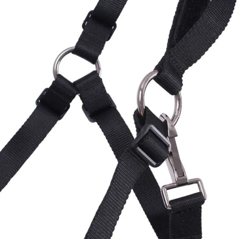 Muselière Q-essentials