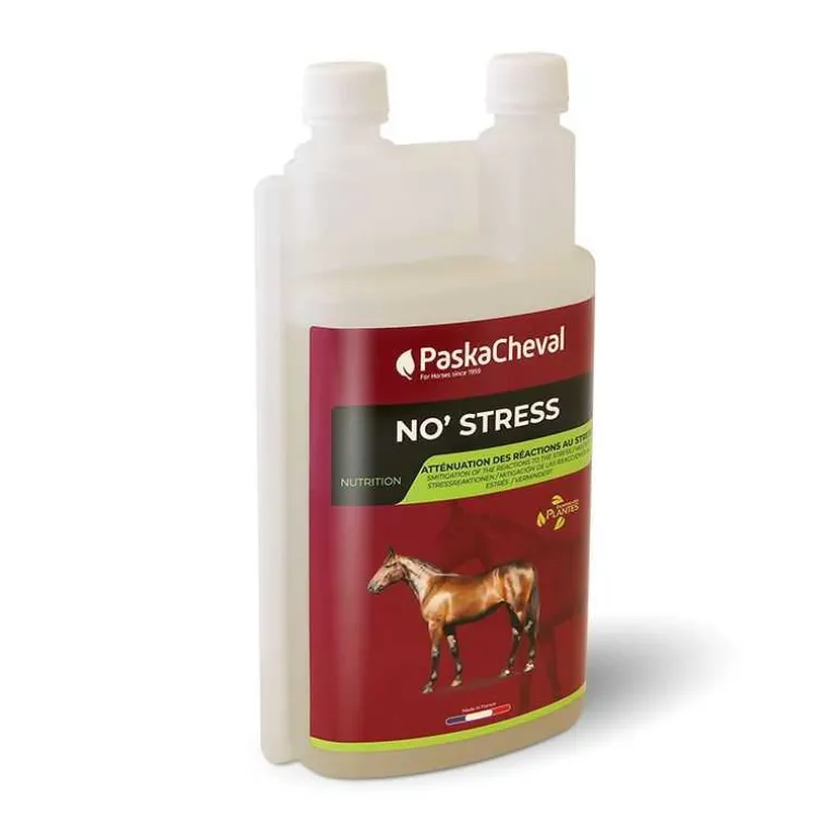 No stress Paskacheval