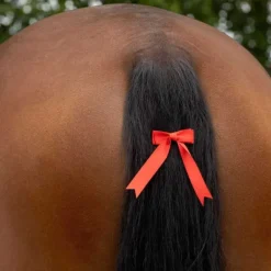 Noeud rouge pour queue concours QHP