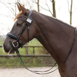 Numero de têtière Modeste round QHP