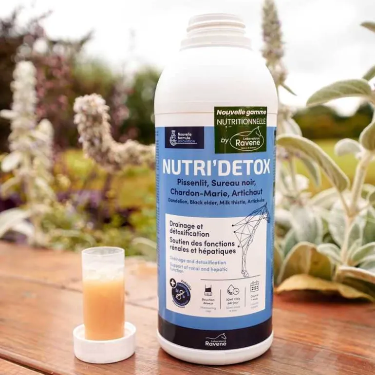 Nutri Detox Ravene