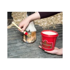 Onguent Kevin Bacon's - 5 kgs