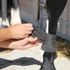 Pansement Animalintex Robinson Animalhealthcare