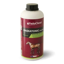 Paskatonic Solution Paskacheval