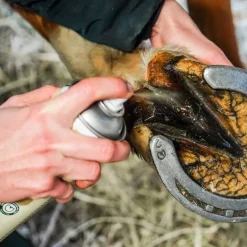 Pedicade Ravene 500ml