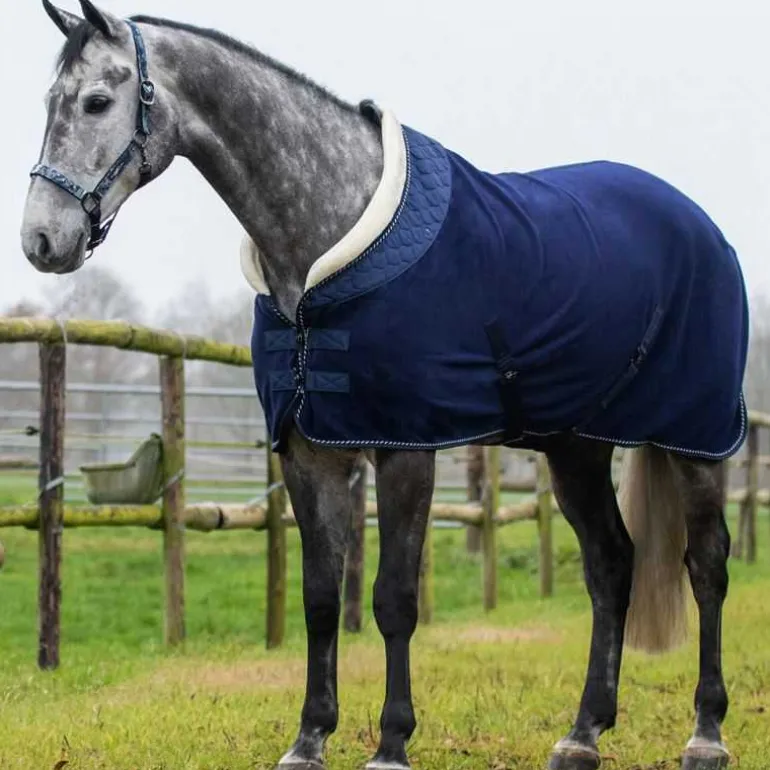 Polaire brilliance QHP