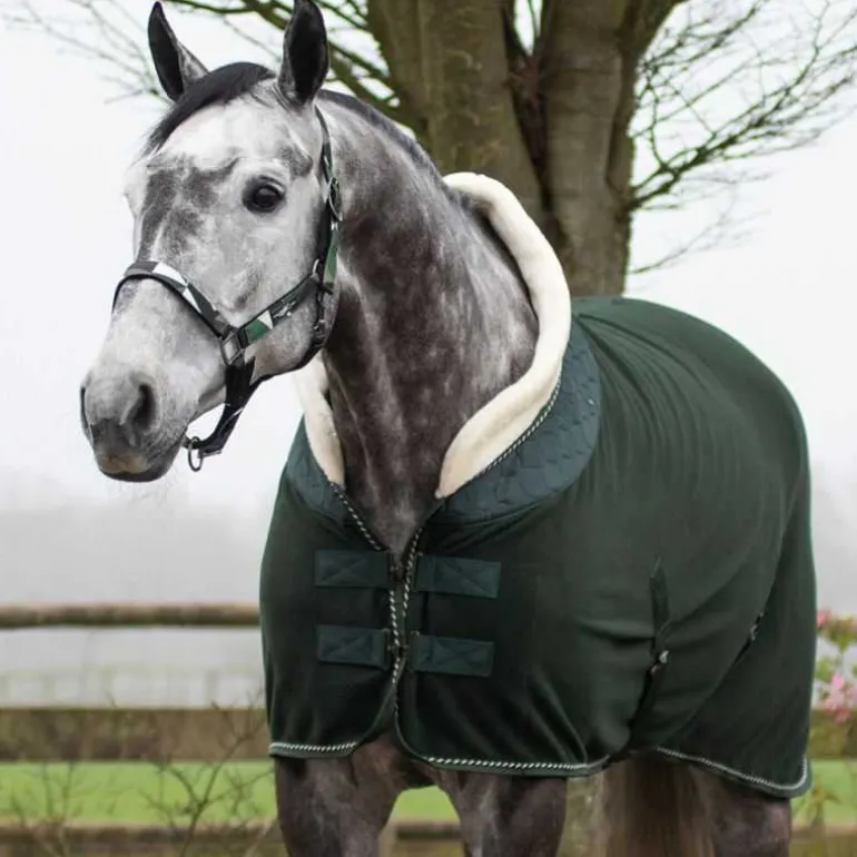 Polaire brilliance QHP