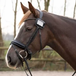 Porte Numero QHP - Lot de deux