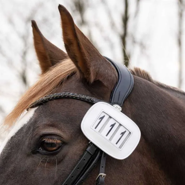 Porte Numéro Modeste QHP