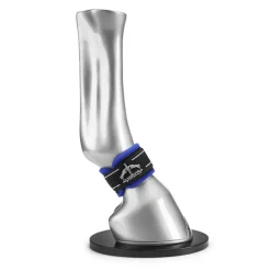 Pro Wrap Magnetik Veredus - Protège paturon