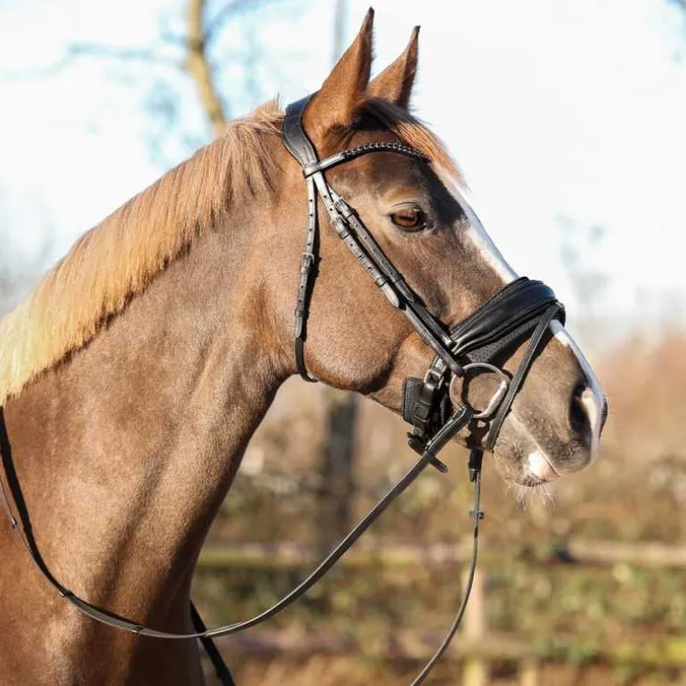 Protection de muserolle Air Mesh QHP