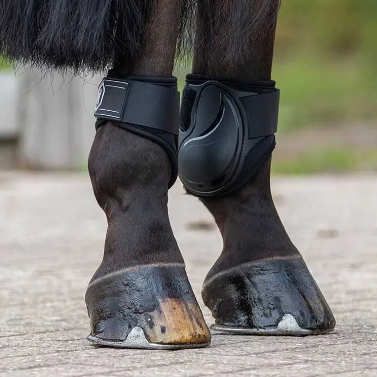 Protège boulets Champion QHP