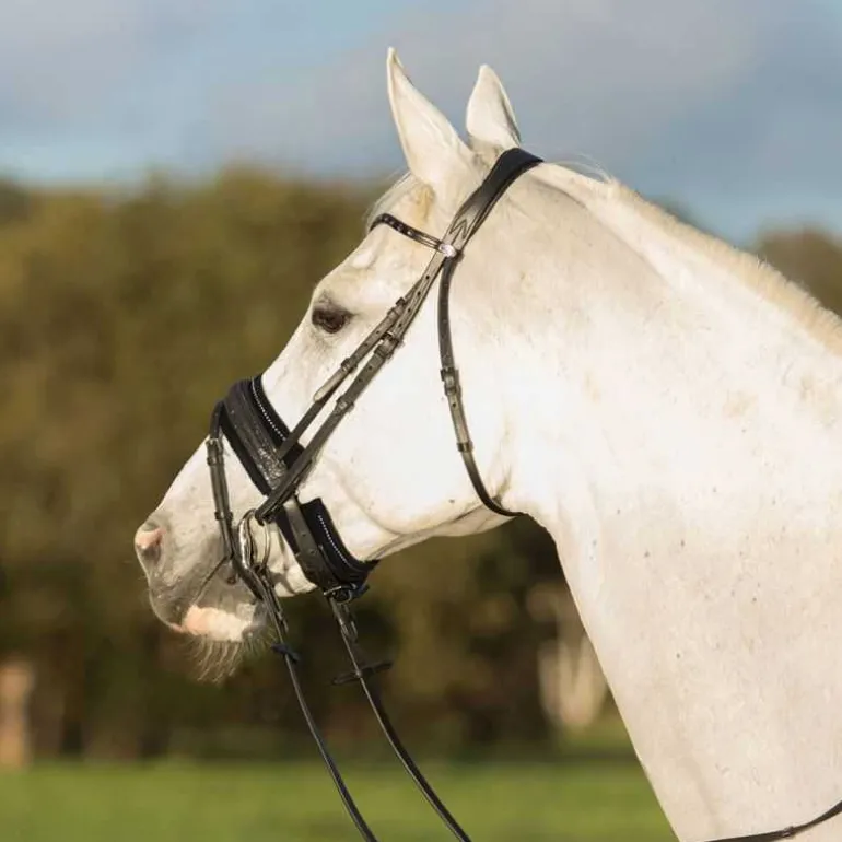 Protège muserolle inférieur Madelon QHP