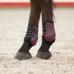 Protège-boulets Champion QHP