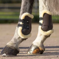 Protège-boulets Ontario QHP