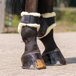 Protège-boulets Tario QHP