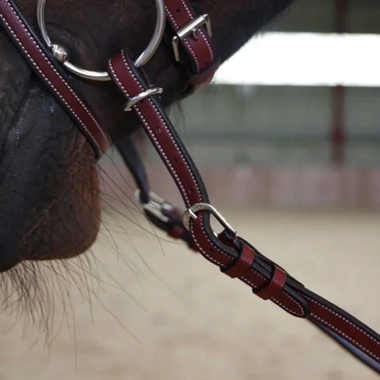 Rênes à poignées en cuir Flags & Cup