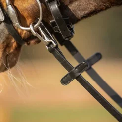 Rênes antidérapantes avec mousqueton QHP