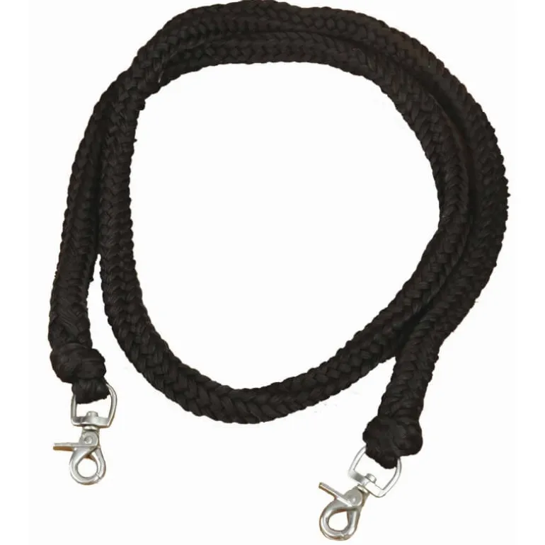 Rênes Ethologiques T de T